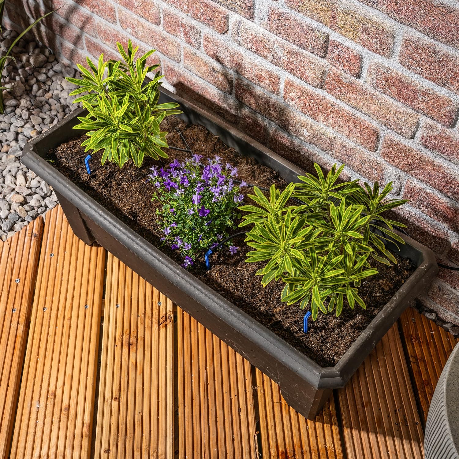 esotec Akku Bewässerungscomputer mit 10 Pfeiltropfern, Bewässerungssystem Indoor + Outdoor, automatische Bewässerung Urlaub, USB-Ladung, 5m Bewässerungsschlauch mit Wasserfilter, Pegelsensor 101104 — Ansicht 6