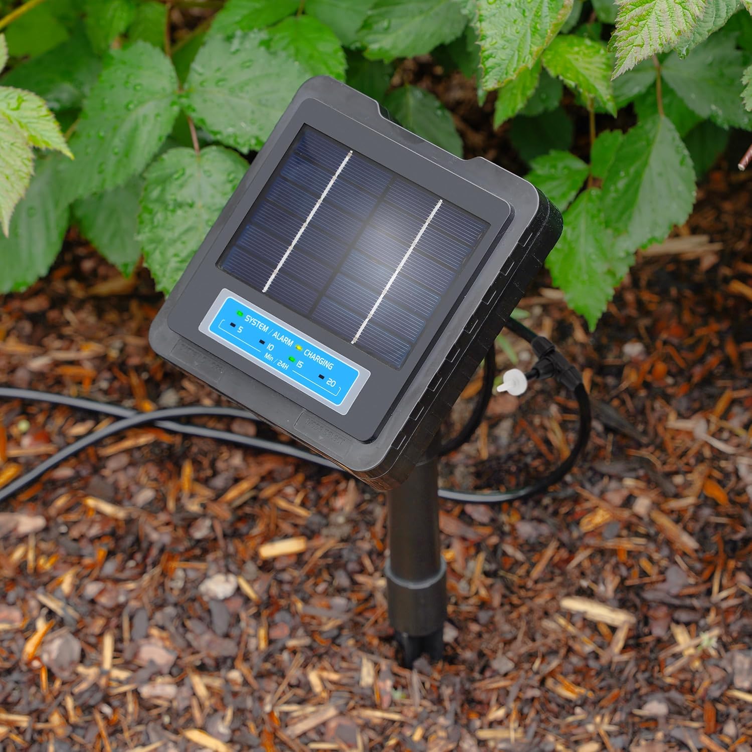 Esotec kompaktes Solar Bewässerungssystem Waterdrops 20 – Automatischer Bewässerungscomputer, 20 Wassertropfer, Timer, energieeffiziente Tropfbewässerung für Garten Balkon Beete & Pflanzgefäße 101129 — Ansicht 4