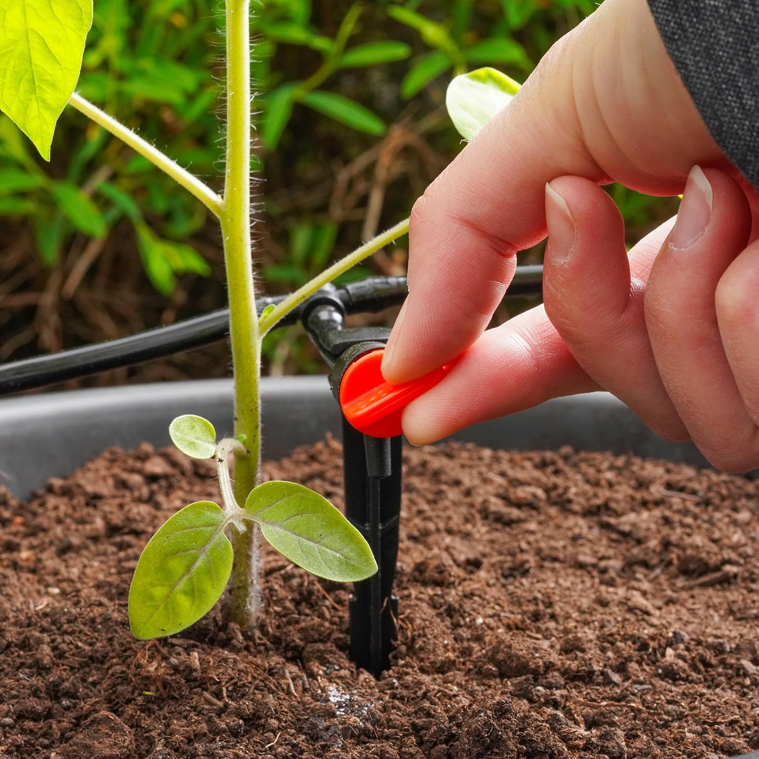 Esotec Solar Bewässerungssystem Waterdrops Pro, 50 regulierbare Tropfer – Automatische Tropfbewässerung für Garten & Balkon 101124 — Ansicht 4