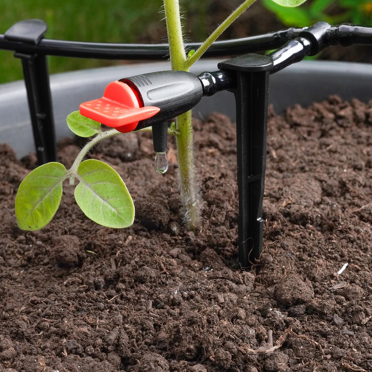 Esotec Solar Bewässerungssystem Waterdrops Pro, 50 regulierbare Tropfer – Automatische Tropfbewässerung für Garten & Balkon 101124 — Ansicht 5