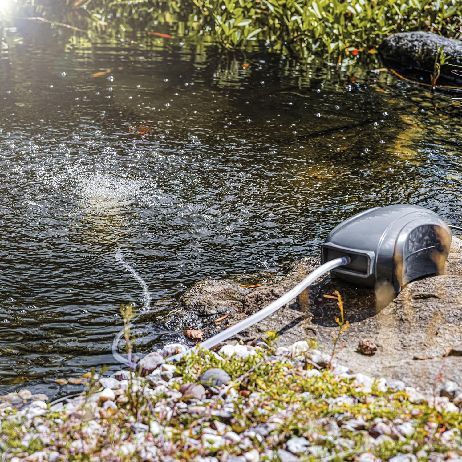 Esotec Solar Teichbelüfter Set 25/600, LiFePO4 Akku, 12,8V/DC Sauerstoffpumpe, 600 l/h Luftleistung, Gartenteich Luftpumpe, Teichbelüftung, Solarpanel 25W, Erdspieß 101876 — Ansicht 4