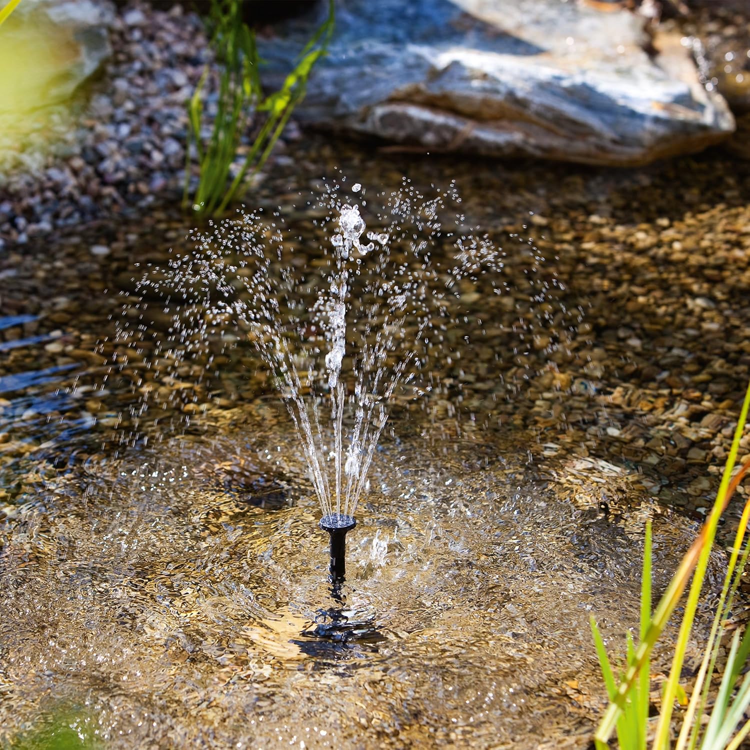 esotec Solar Teichpumpe Rimini S 175 l/h mit 2W Solarmodul – Solarbrunnen für Gartenteich & Wasserspiel – Direktbetrieb, 4 Fontänenaufsätze 101701 — Ansicht 6