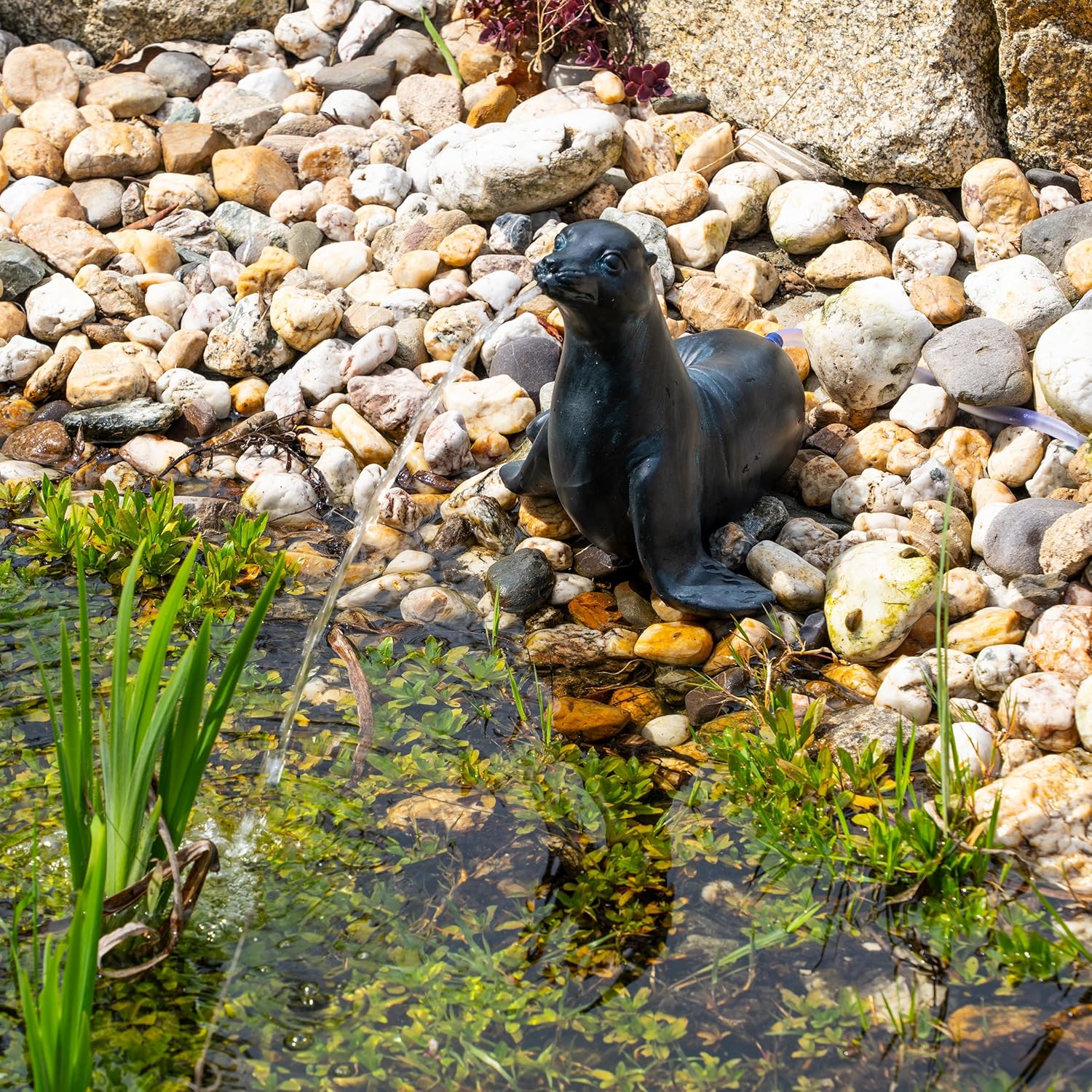 Esotec Solar Wasserspeier Komplettset, Seehund Figur Sammy, Gartenteich Wasserspiel, Vogeltränke, Vogelbad, Gartenbrunnen mit Solarpumpe, 2 Schläuche, H=25cm 101676 — Ansicht 4
